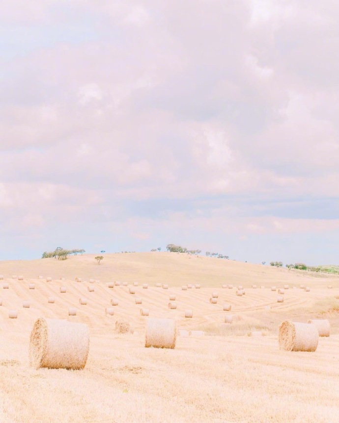 唯美图片:最理想的生活:干净的圈子,规律的生活