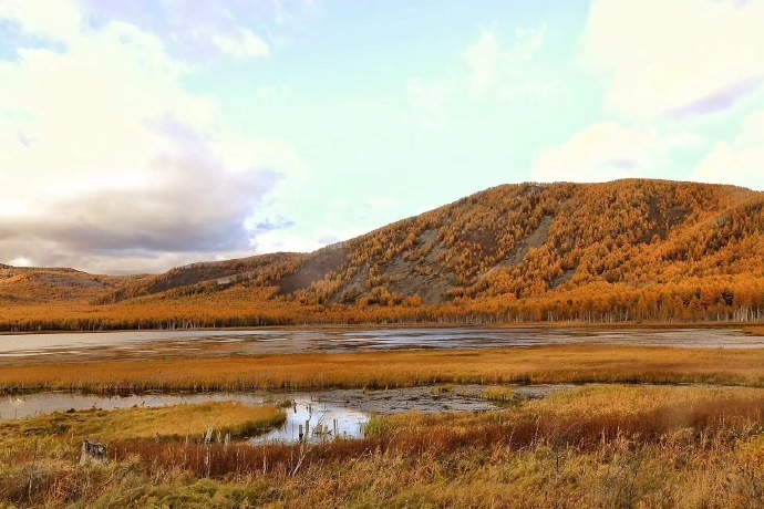 呼伦贝尔的秋天风景图片