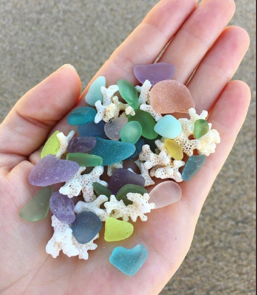 沙滩上的贝壳图片 海边风景图片